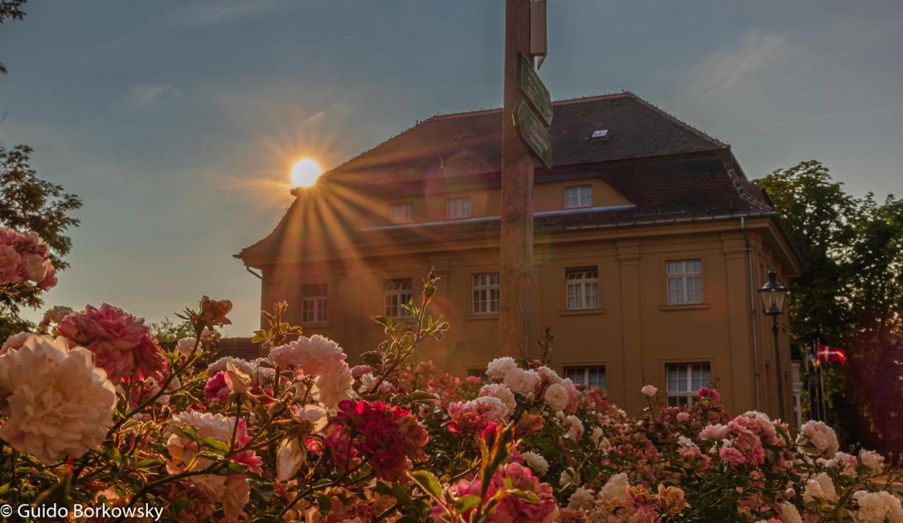 Parkhotel Pretzsch Bad Schmiedeberg Εξωτερικό φωτογραφία
